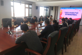 石化院召开2024年全面从严治党 暨党风廉政建设专题工作会议